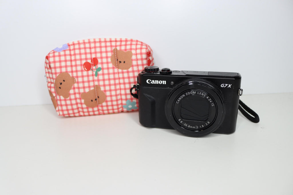 Padded Camera Pouch