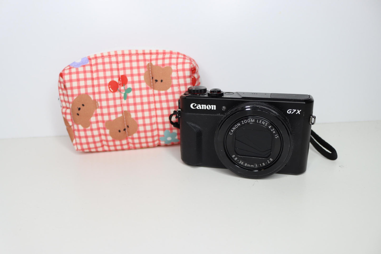 Padded Camera Pouch
